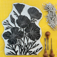 Load image into Gallery viewer, Golden Poppies | 11x14" Print