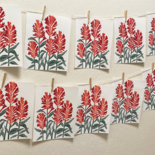 Load image into Gallery viewer, Castilleja (Indian Paintbrush) | 11x14" Print