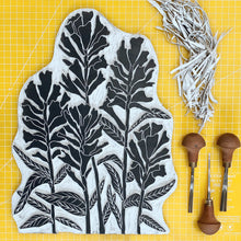 Load image into Gallery viewer, Castilleja (Indian Paintbrush) | 11x14" Print