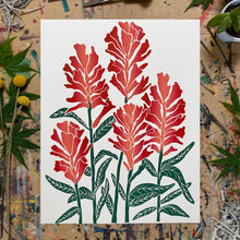 Load image into Gallery viewer, Castilleja (Indian Paintbrush) | 11x14" Print