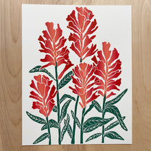 Load image into Gallery viewer, Castilleja (Indian Paintbrush) | 11x14" Print