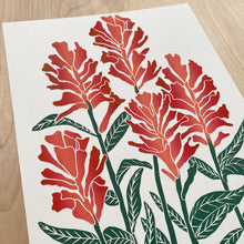 Load image into Gallery viewer, Castilleja (Indian Paintbrush) | 11x14" Print