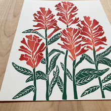 Load image into Gallery viewer, Castilleja (Indian Paintbrush) | 11x14" Print