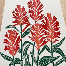 Load image into Gallery viewer, Castilleja (Indian Paintbrush) | 11x14" Print