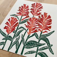Load image into Gallery viewer, Castilleja (Indian Paintbrush) | 11x14" Print