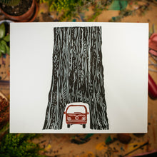Load image into Gallery viewer, Tunnel Tree | 8x10" Print