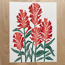 Load image into Gallery viewer, Castilleja (Indian Paintbrush) | 11x14&quot; Print
