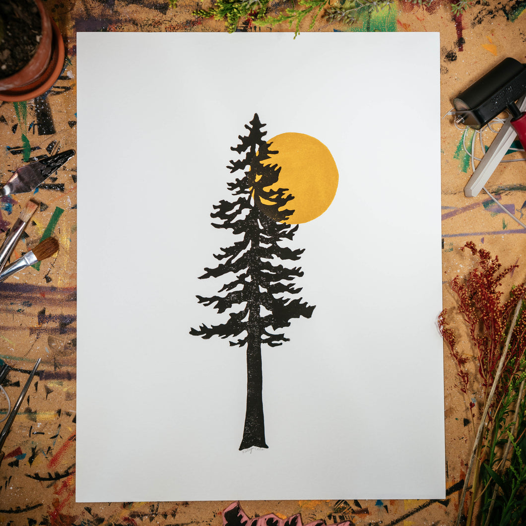 Lone Redwood | 11x14